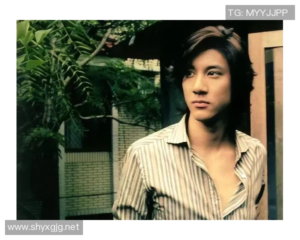 王力宏与足球明星谁更具影响力和才华各自优势分析