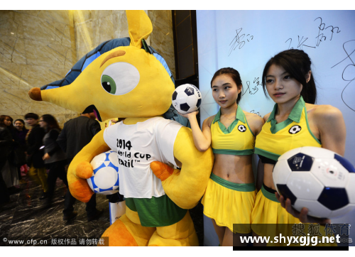 巴西世界杯吉祥物：历年来的足球吉祥物全览