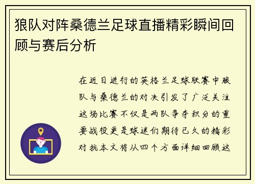 狼队对阵桑德兰足球直播精彩瞬间回顾与赛后分析